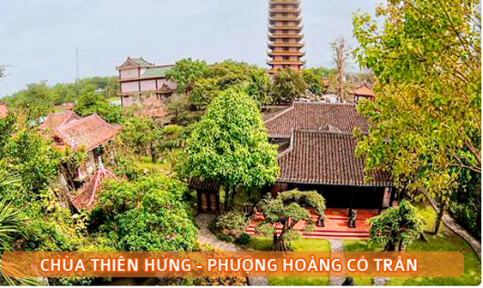 Khám phá chùa Thiên Hưng – Phượng hoàng cổ trấn phiên bản Việt